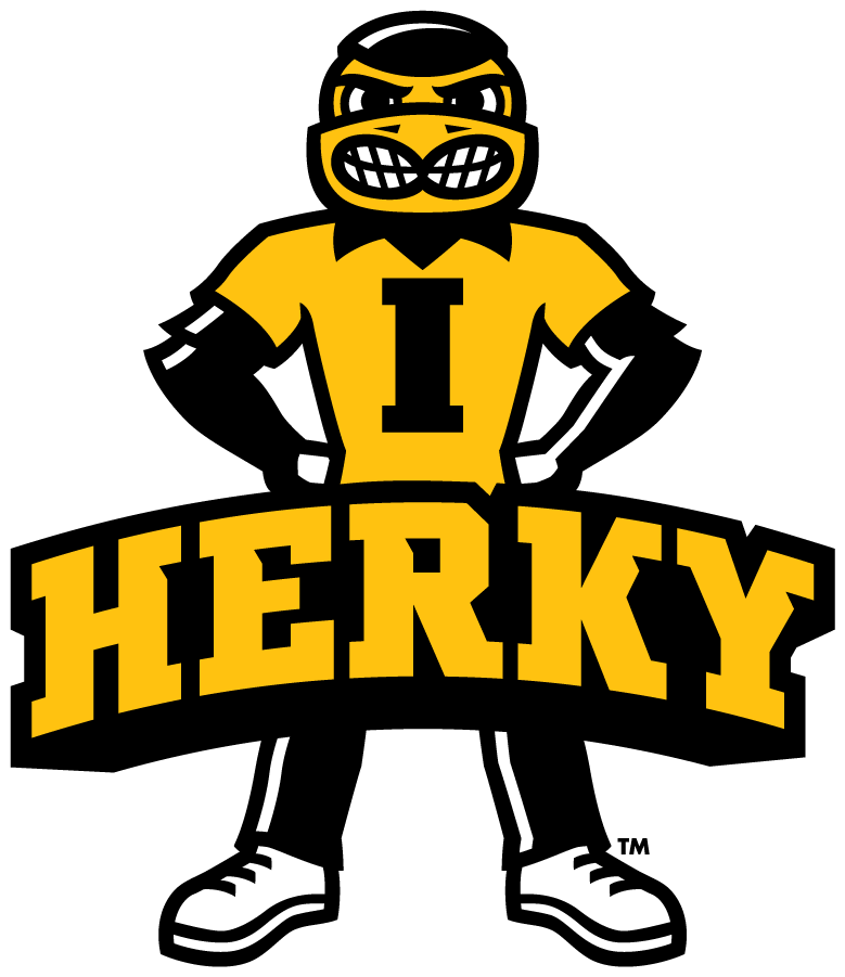 Iowa Hawkeyes 2013-Pres Mascot Logo iron on transfers for clothing